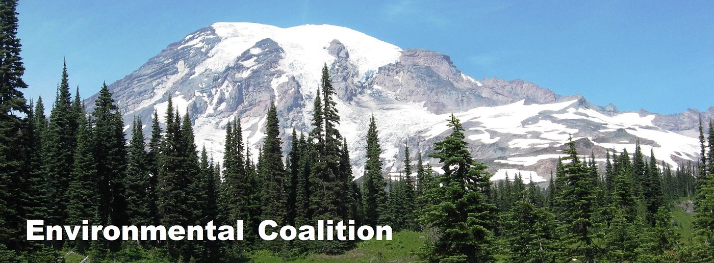 Environmental Coalition